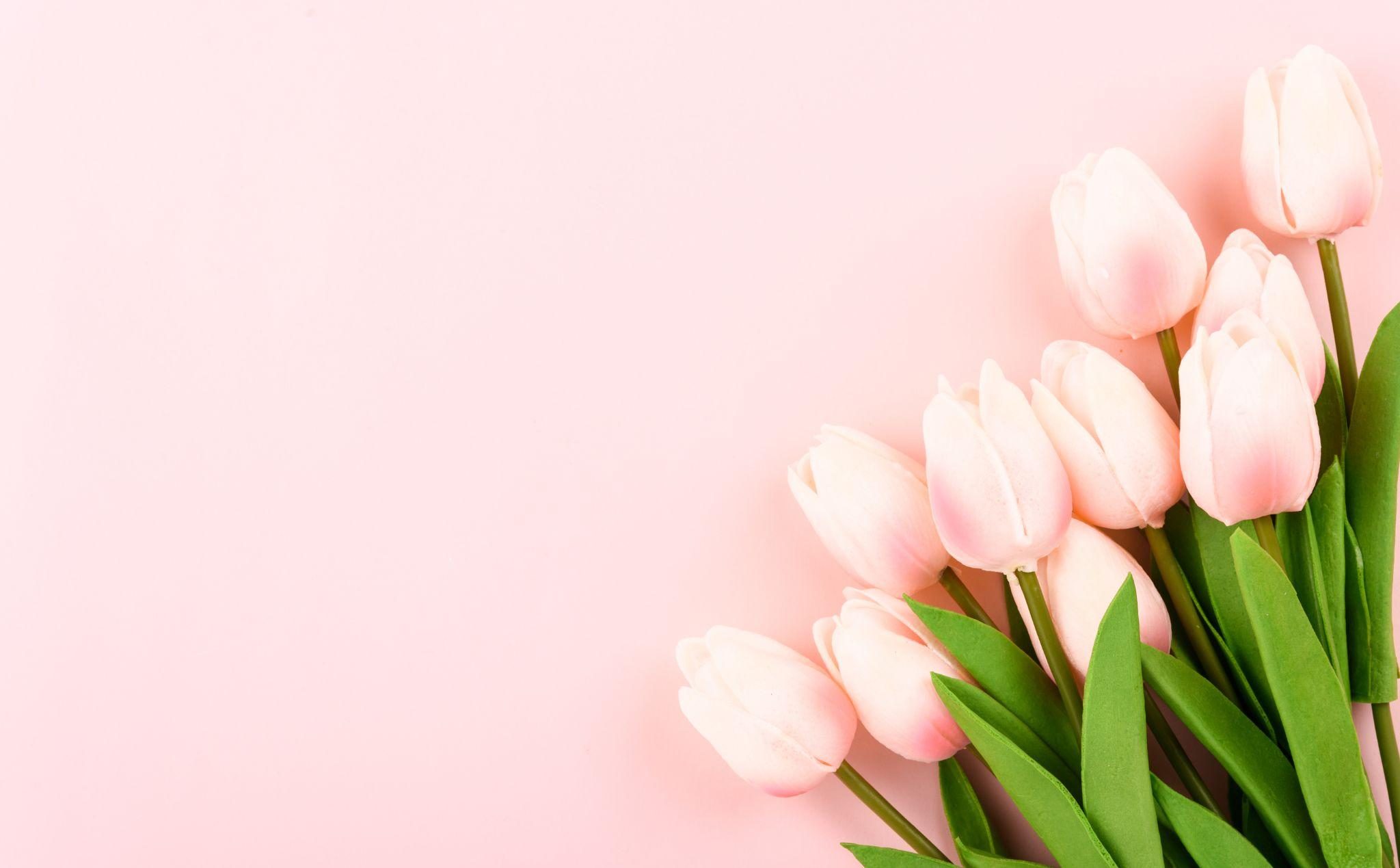 womenday (1)